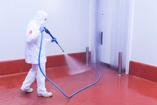 Best Post-Construction Pressure Washing  in Kendall West, FL